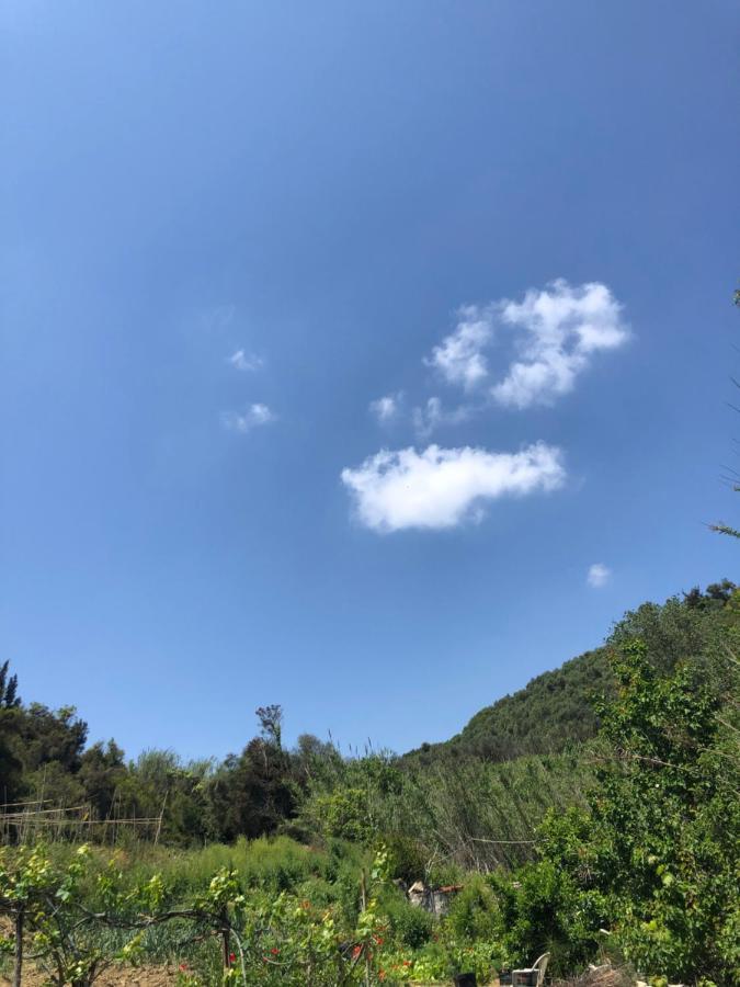 Villa Vasiliki Vitaládes Esterno foto